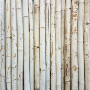 Papel mural Bambú Palo